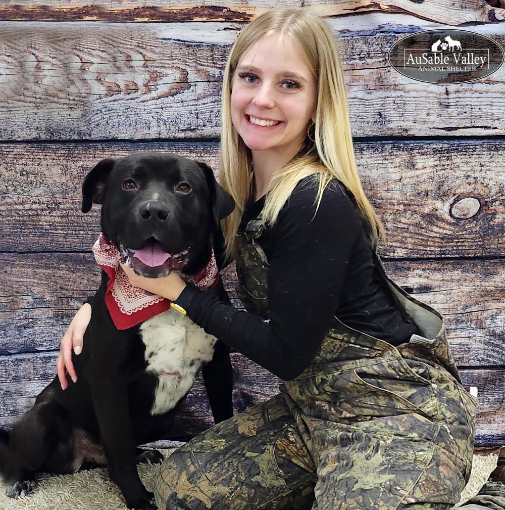 Enlarge Beau, a ADOPTABLE Mixed Breed in Grayling, MI image 1/6