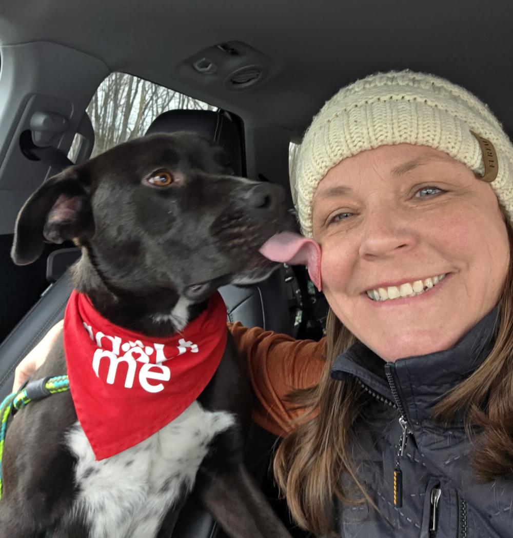 Enlarge Beau, a ADOPTABLE Mixed Breed in Grayling, MI image 4/6