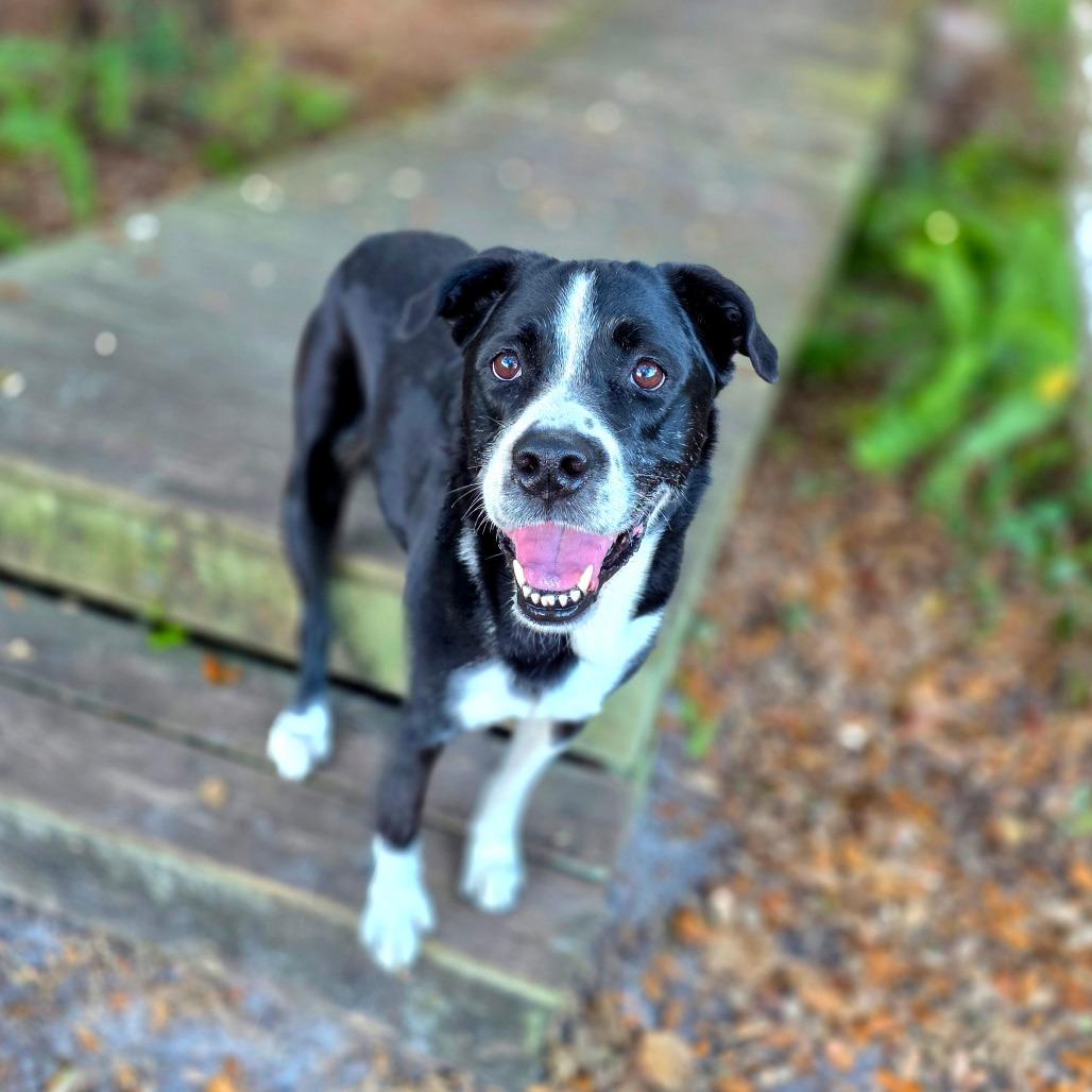 Chloe — thumbnail 2