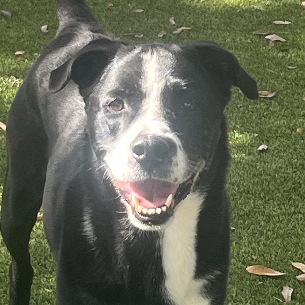 Chloe — thumbnail 3