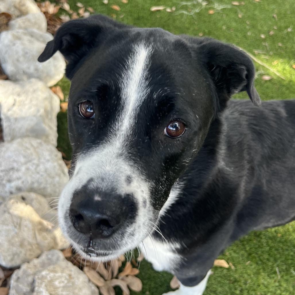 Chloe — thumbnail 4