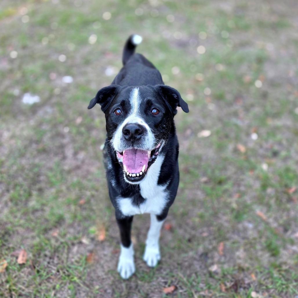 Chloe — thumbnail 6