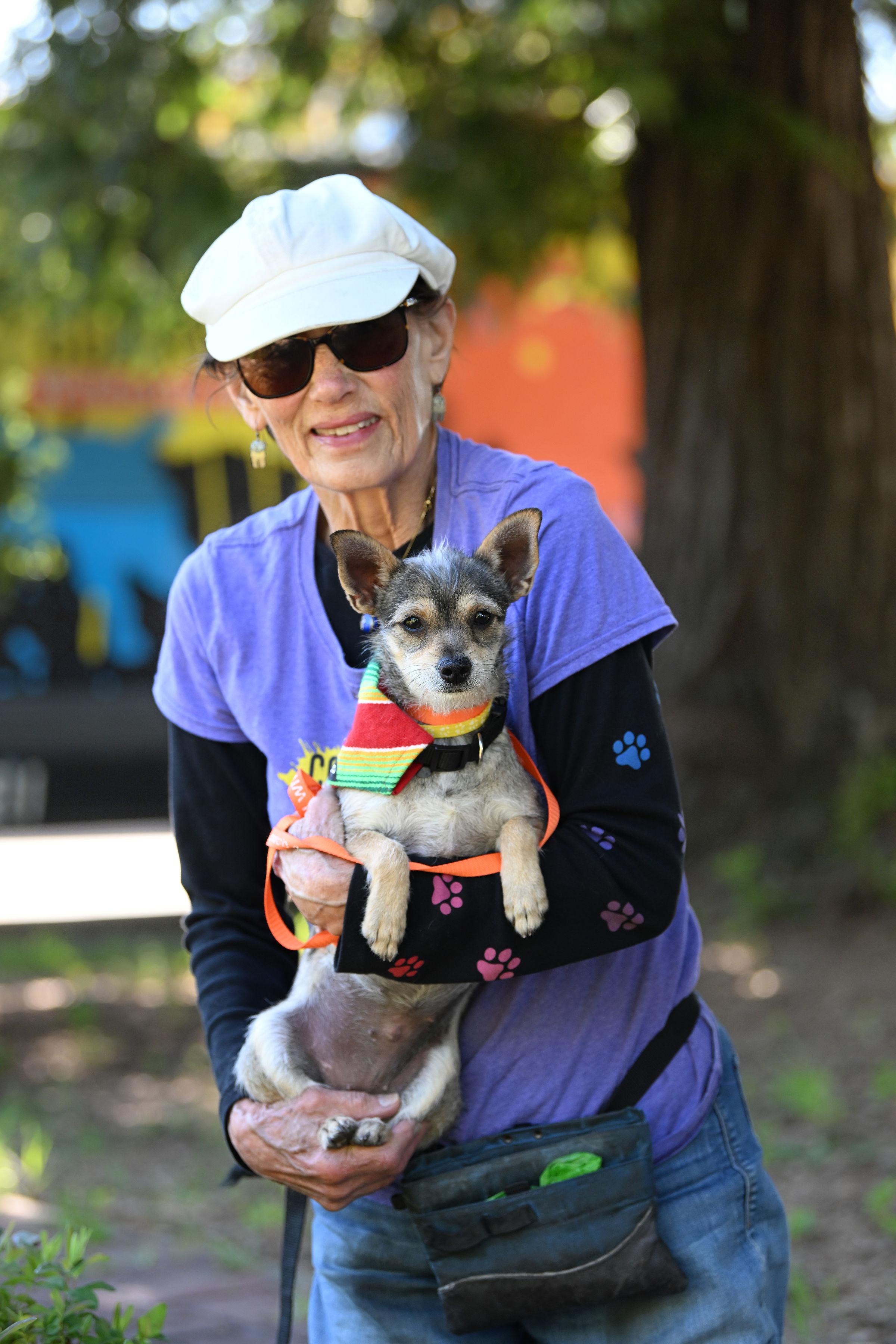 Enlarge Arenita, a ADOPTABLE mixed breed in Santa Rosa, CA image 3/3