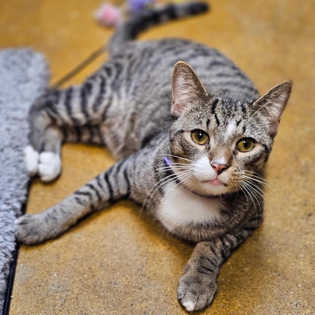 Edward Ferrars — thumbnail 2