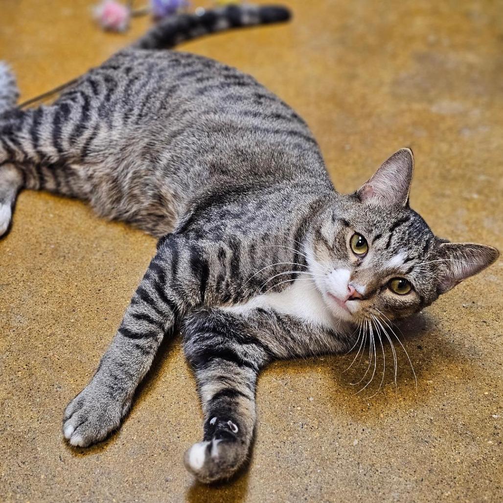 Edward Ferrars — thumbnail 3