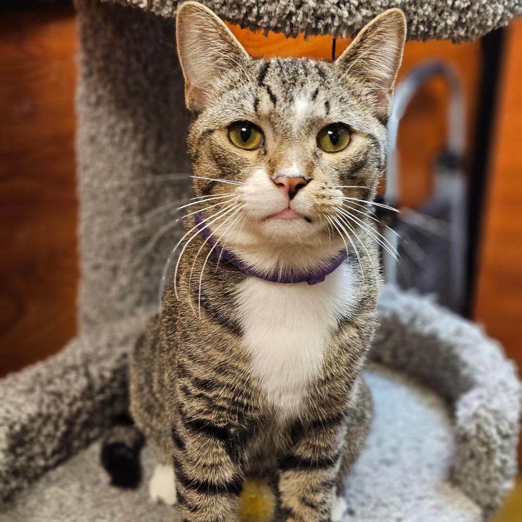 Edward Ferrars — thumbnail 4