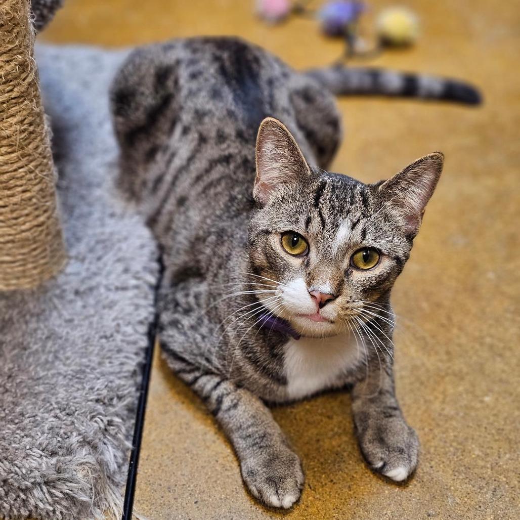 Edward Ferrars — thumbnail 5