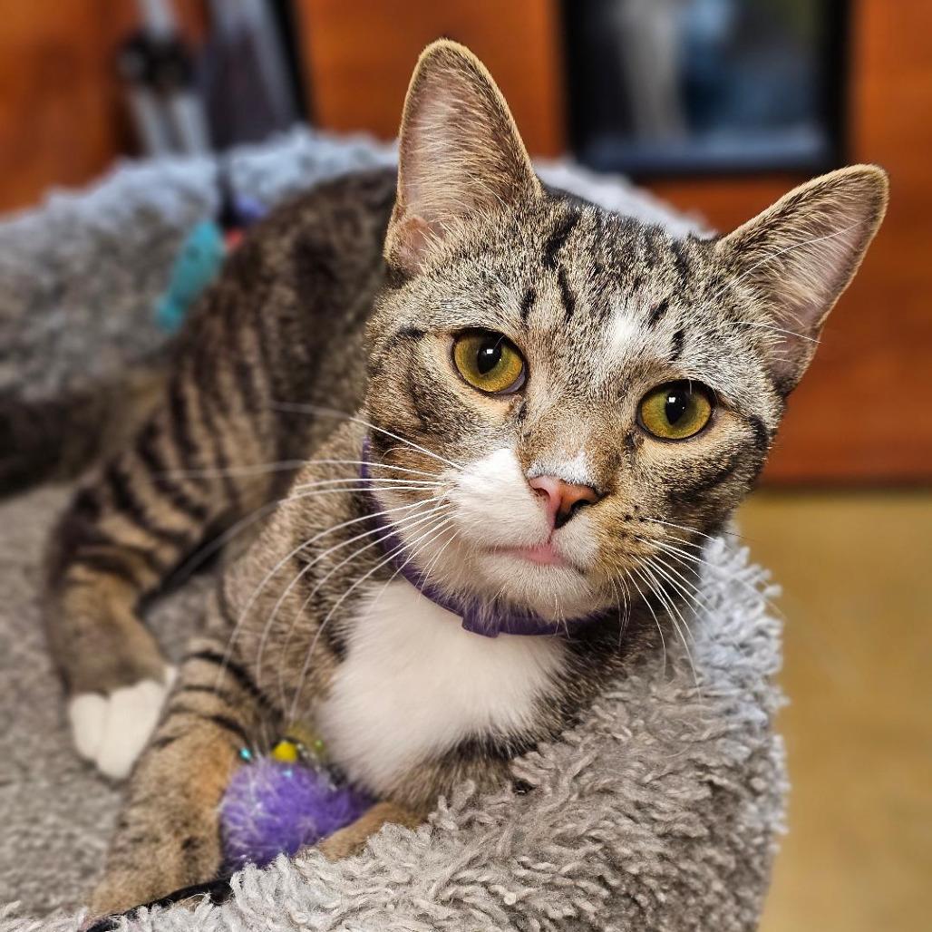 Edward Ferrars — thumbnail 6