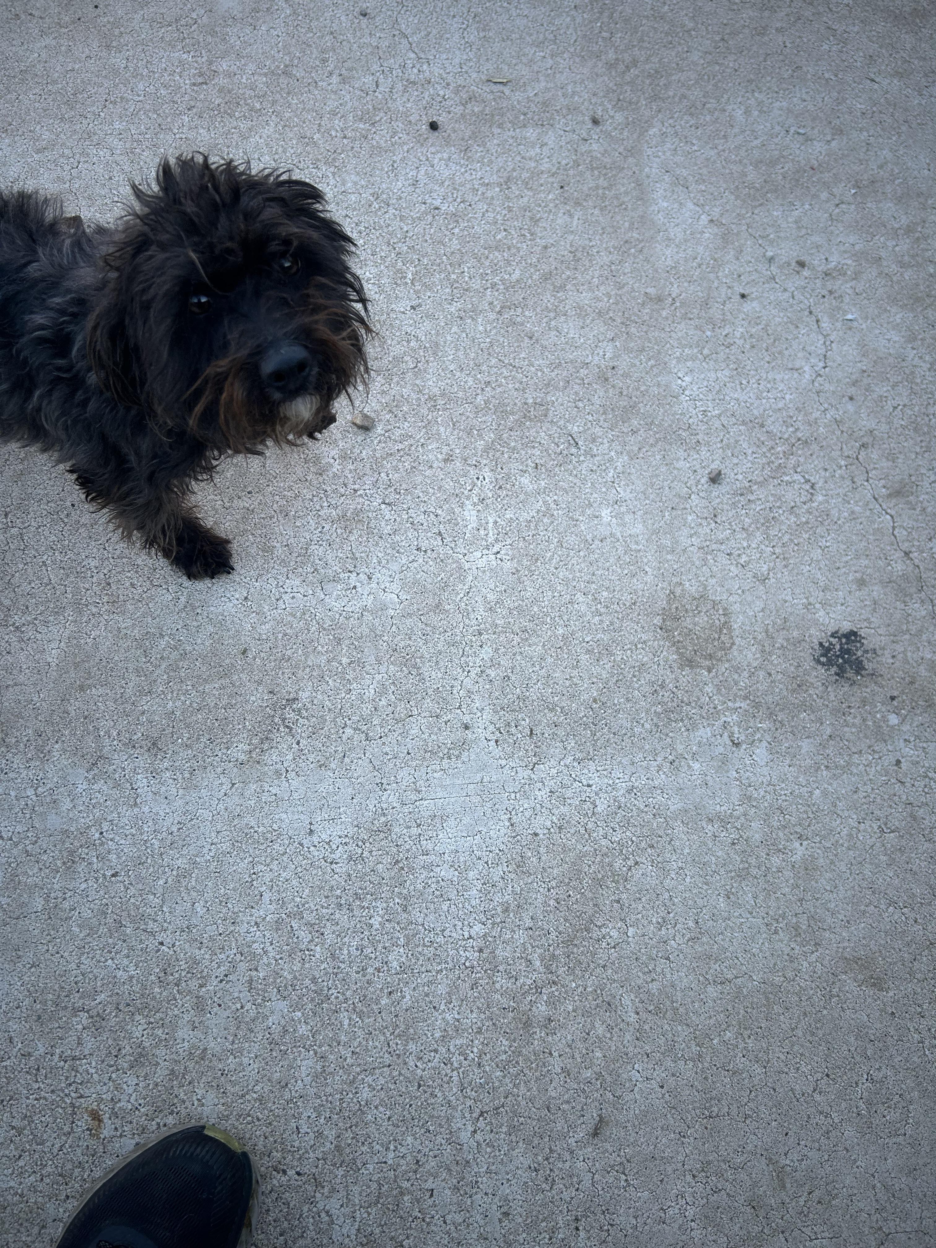Julep photo 2
