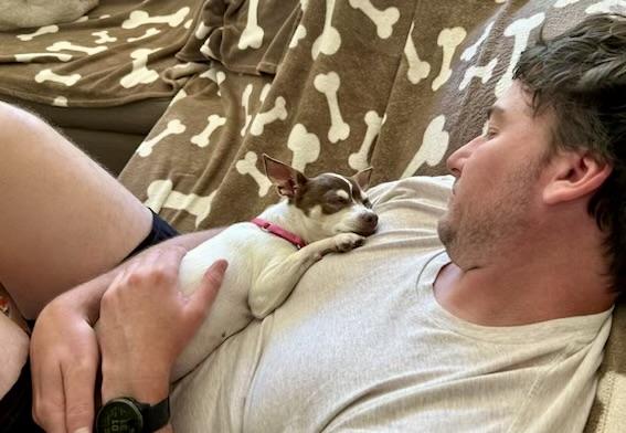 Enlarge Lucy, a ADOPTABLE mixed breed in Walnut Creek, CA image 5/5