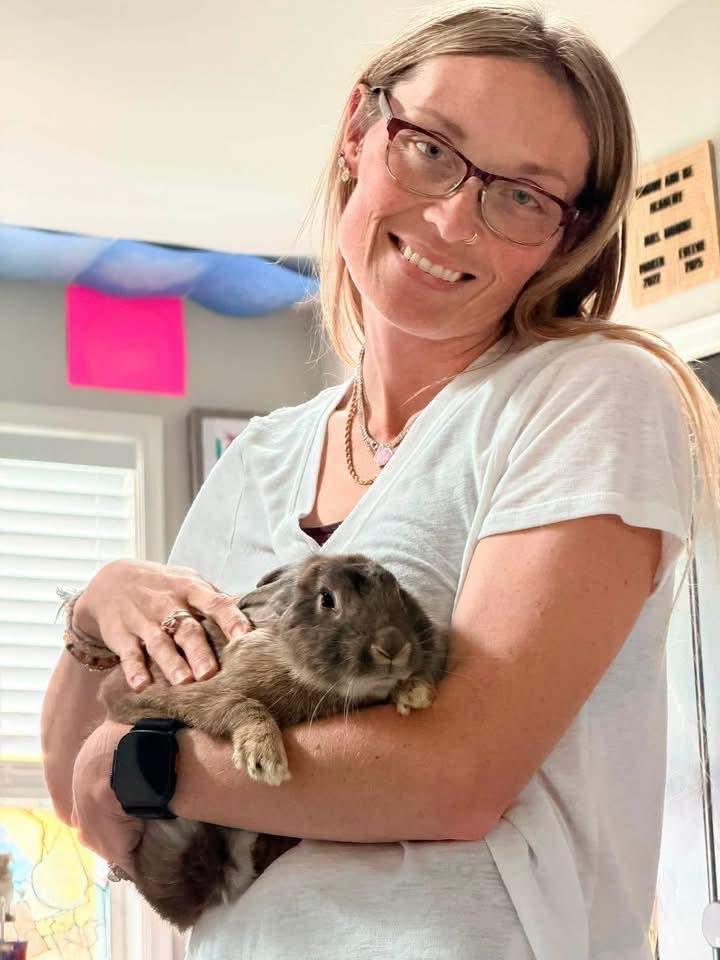 94, a ADOPTABLE Lionhead in St. Charles, MO image 5/5