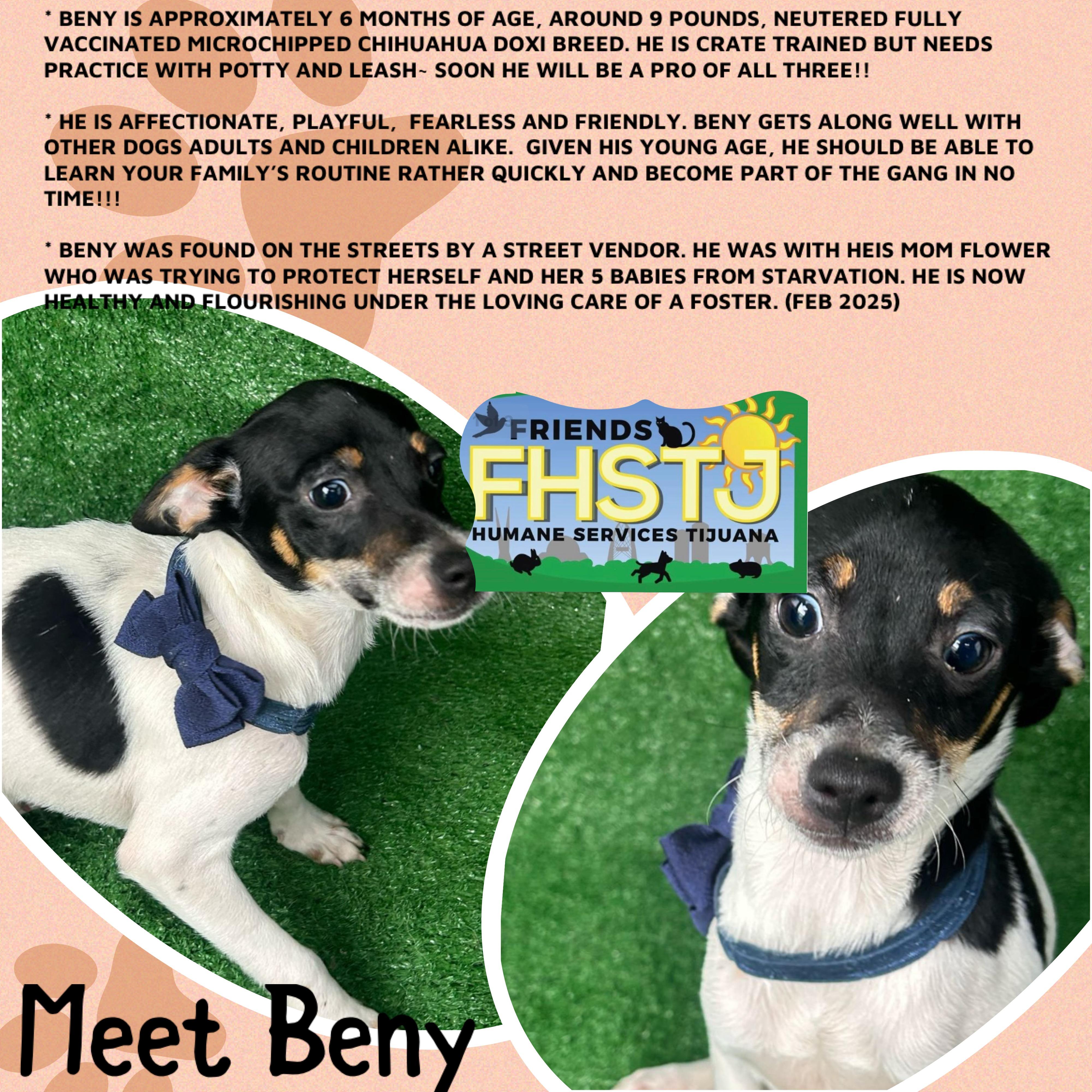 Beny