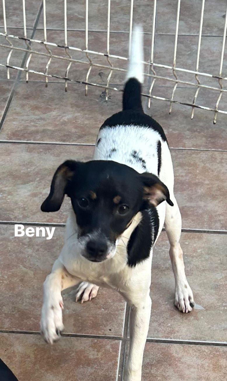 Beny