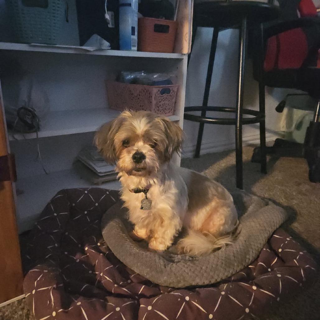 Rosie Cherry (Dallas) — thumbnail 4