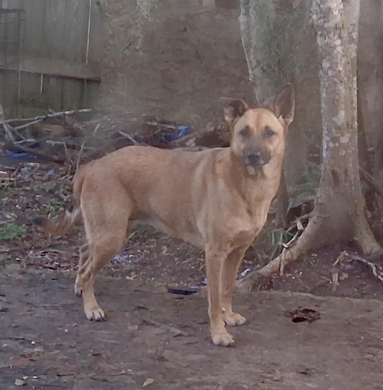 Tria — thumbnail 4