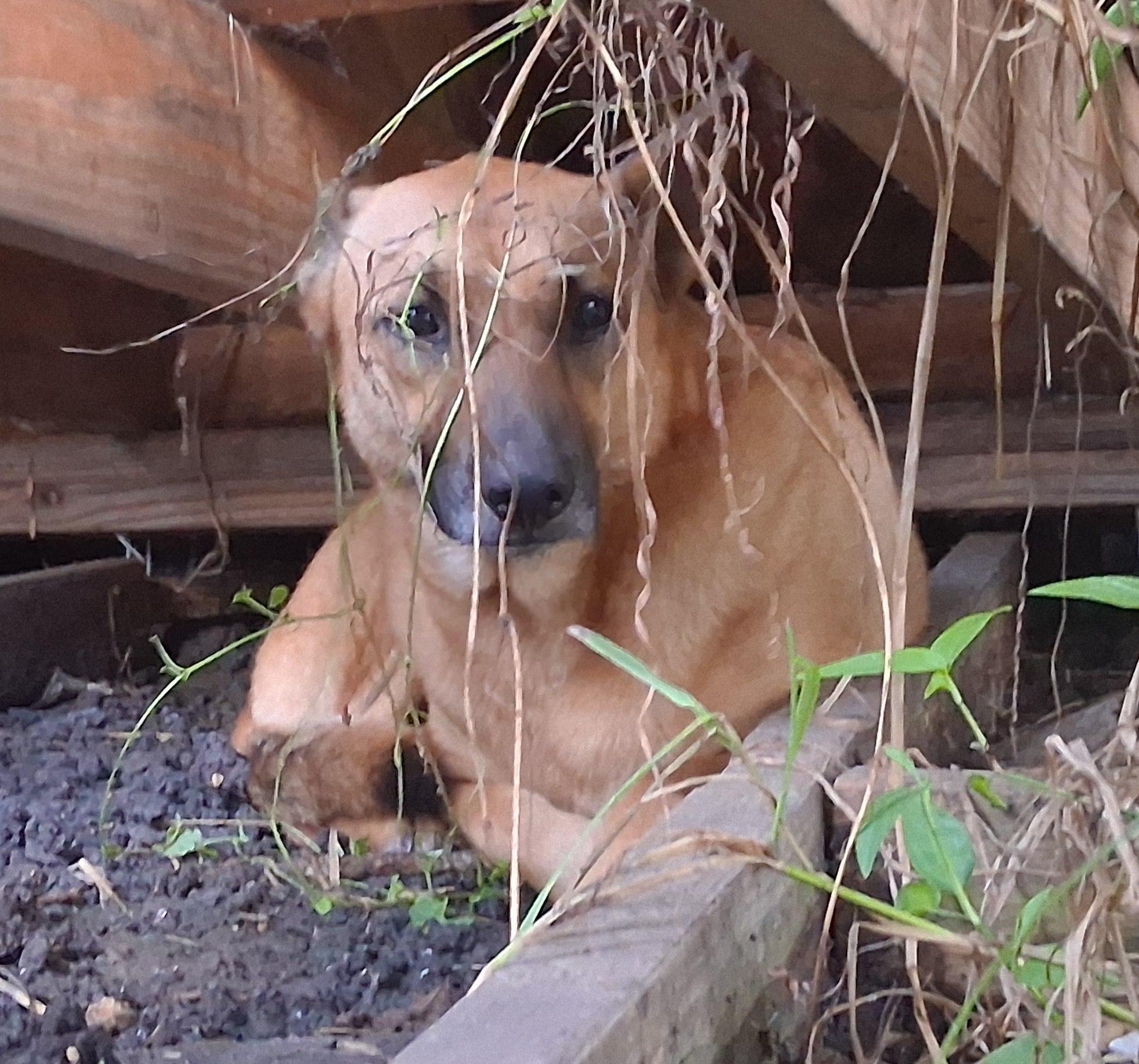 Tria — thumbnail 6