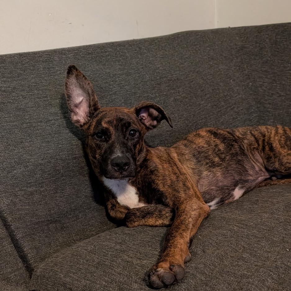 Kano — thumbnail 2