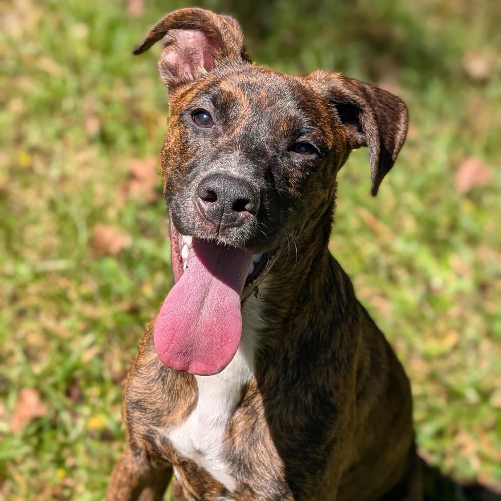 Kano — thumbnail 3