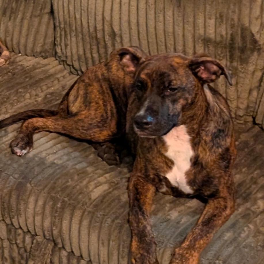 Kano — thumbnail 4