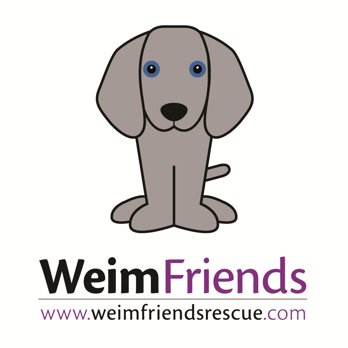 Foster Homes Needed!, an adoptable Weimaraner in Cincinnati, OH_image-1