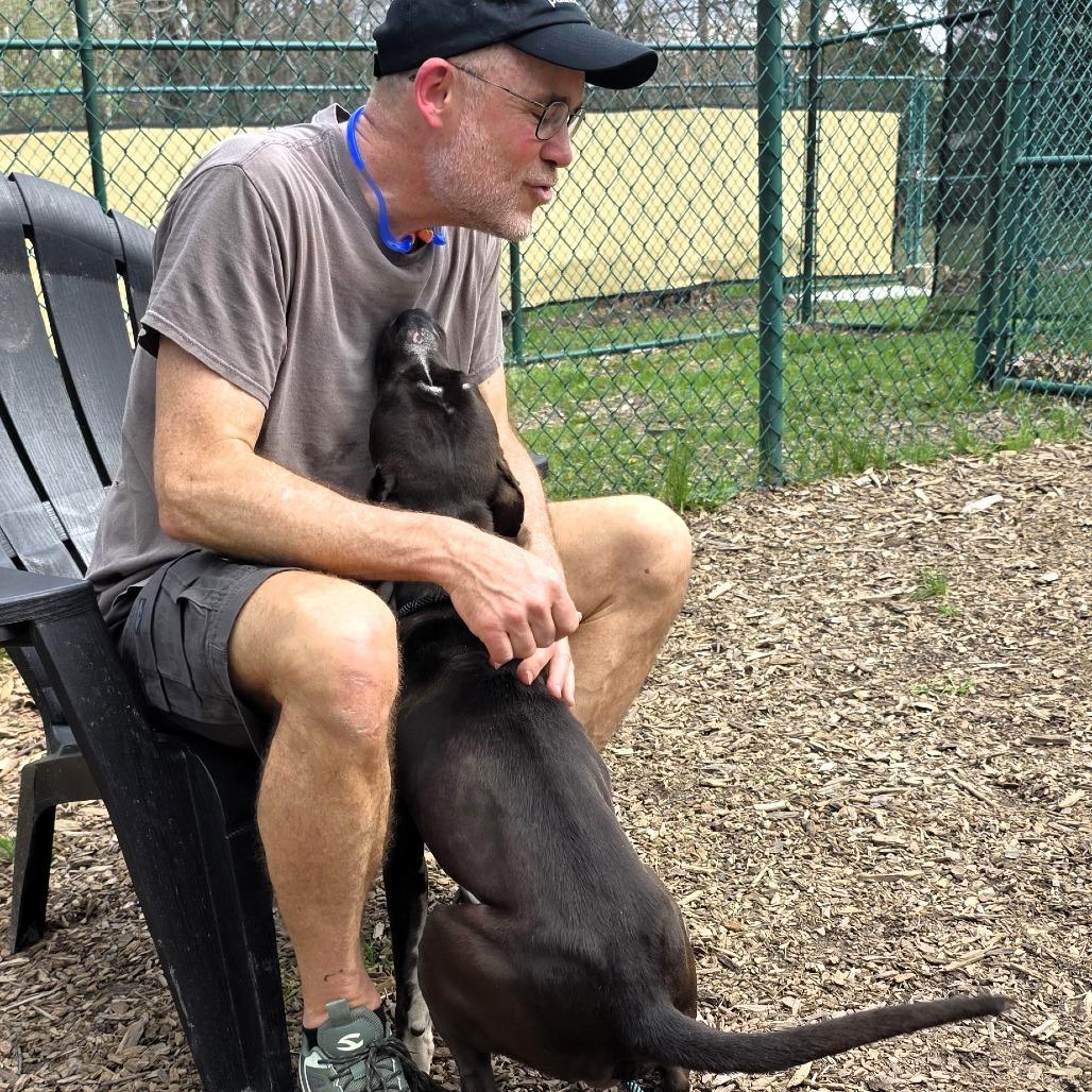 Enlarge Walter, a Adoptable Pit Bull Terrier in Michigan City, IN image 4/6