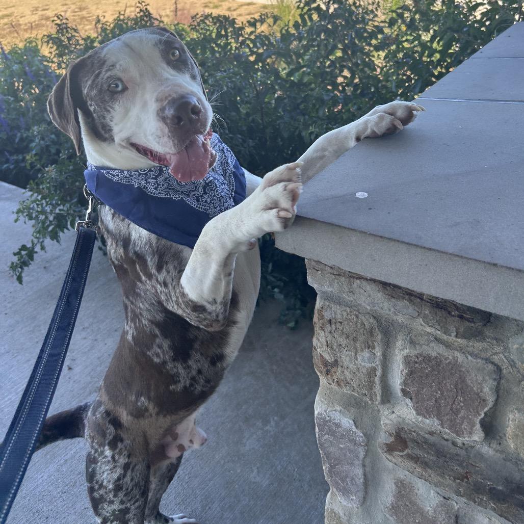 Pistachio — thumbnail 5