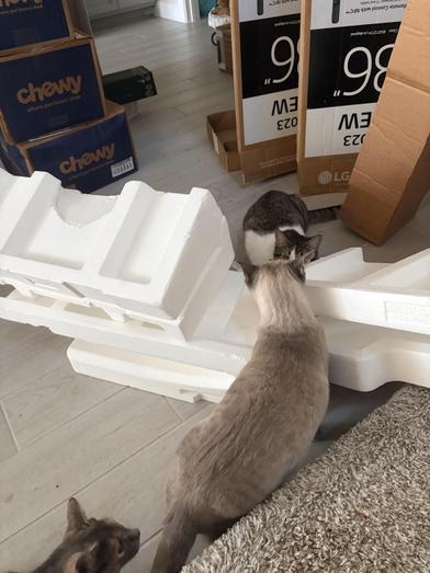 Splotch — thumbnail 2