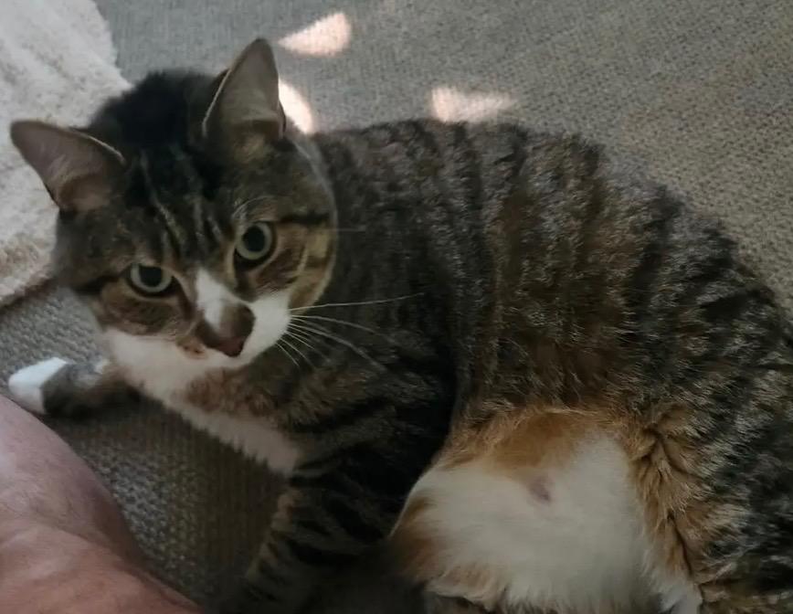 Biko — thumbnail 2