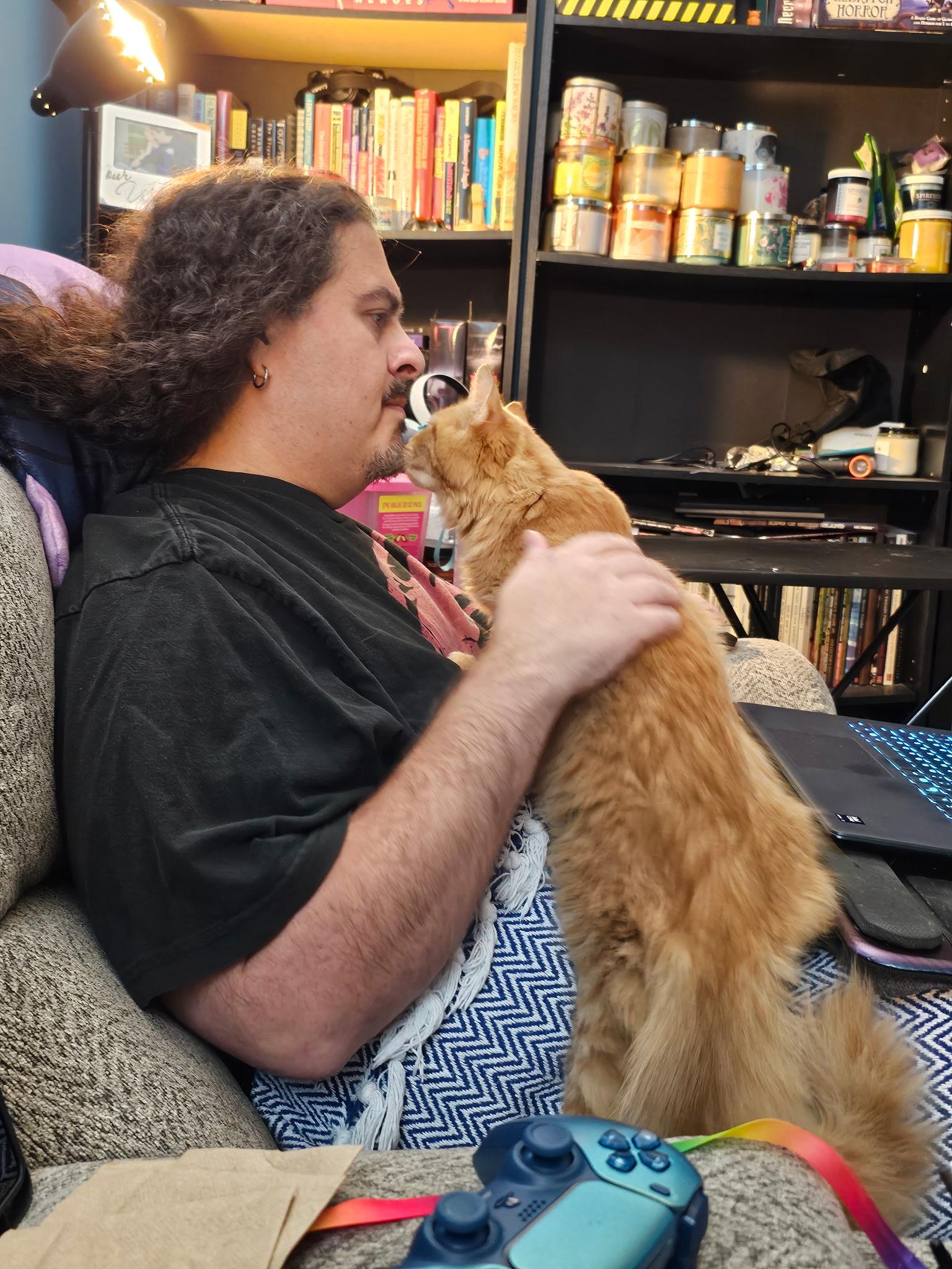 Casey, a Adoptable Tabby in Waynesboro, VA image 2/6