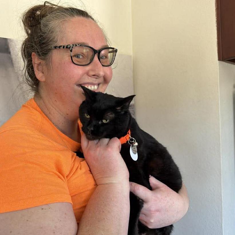 Kiki, a Adoptable Domestic Short Hair in Ramona, CA image 2/6