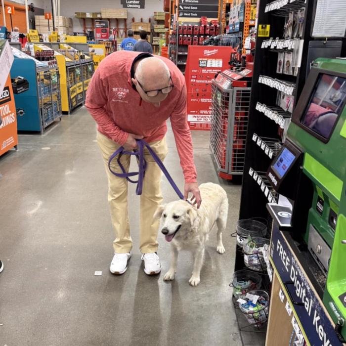 Marion, a Adoptable mixed breed in Louisville, KY image 2/6