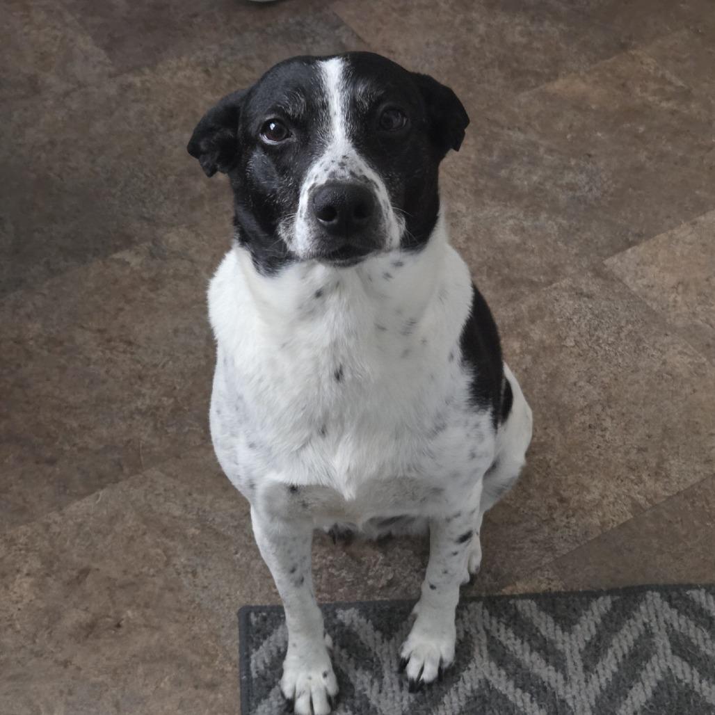 Ember — thumbnail 2