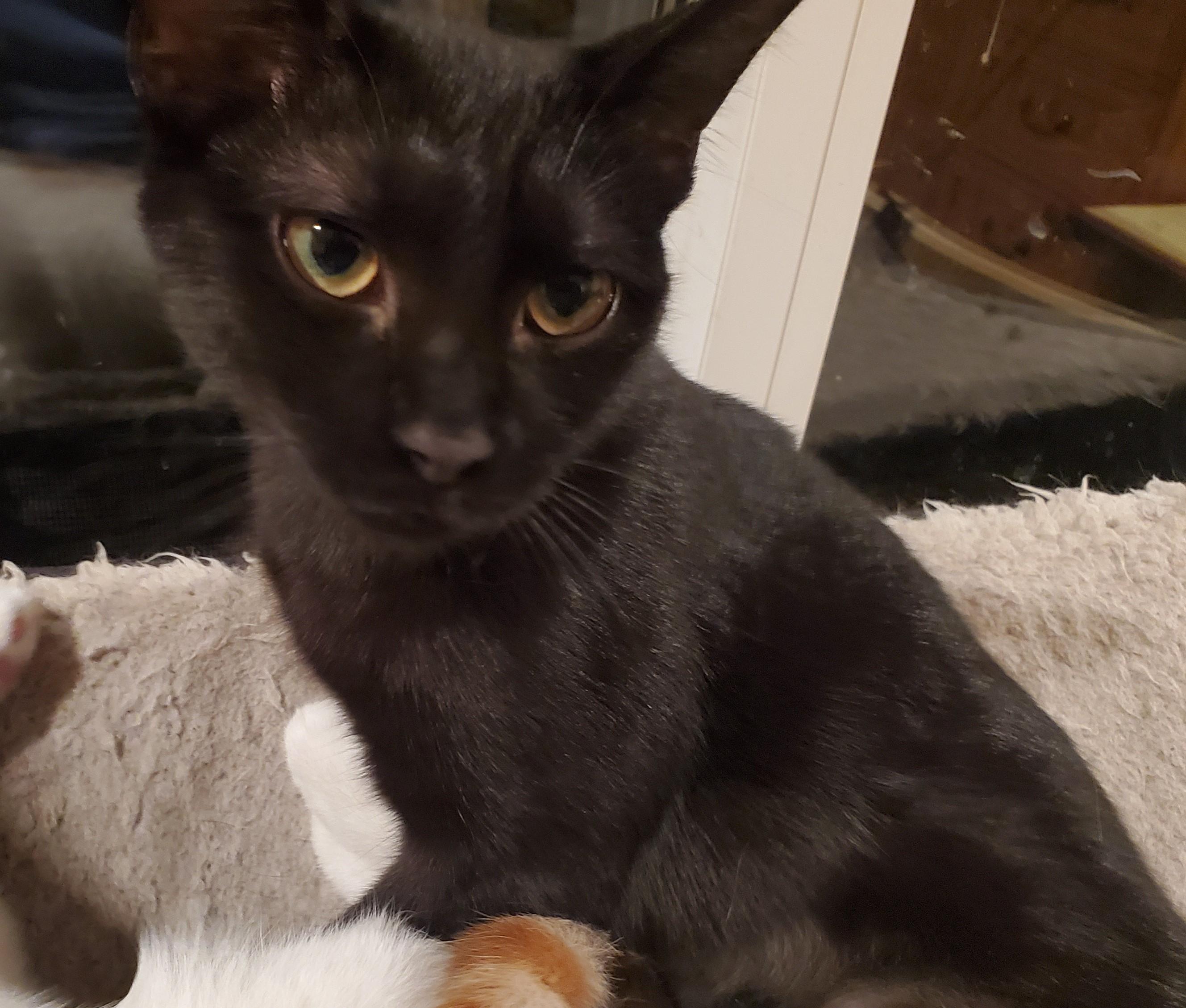 A Train — thumbnail 2