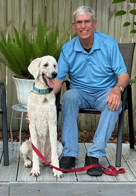 Oliver, a Adopted Standard Poodle in Pensacola, FL image 1/4