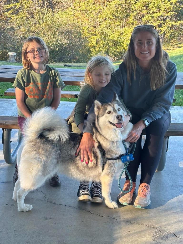 Lagatha *Sponsored Adoption, Adoptable, Adult Female Husky.