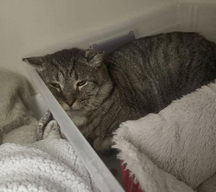 Jumanji — thumbnail 3