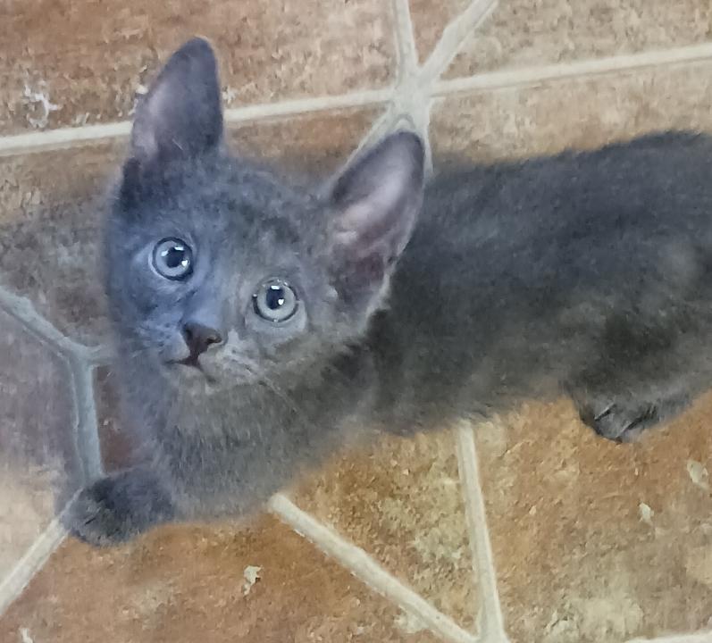 Snuggle Bug — thumbnail 2