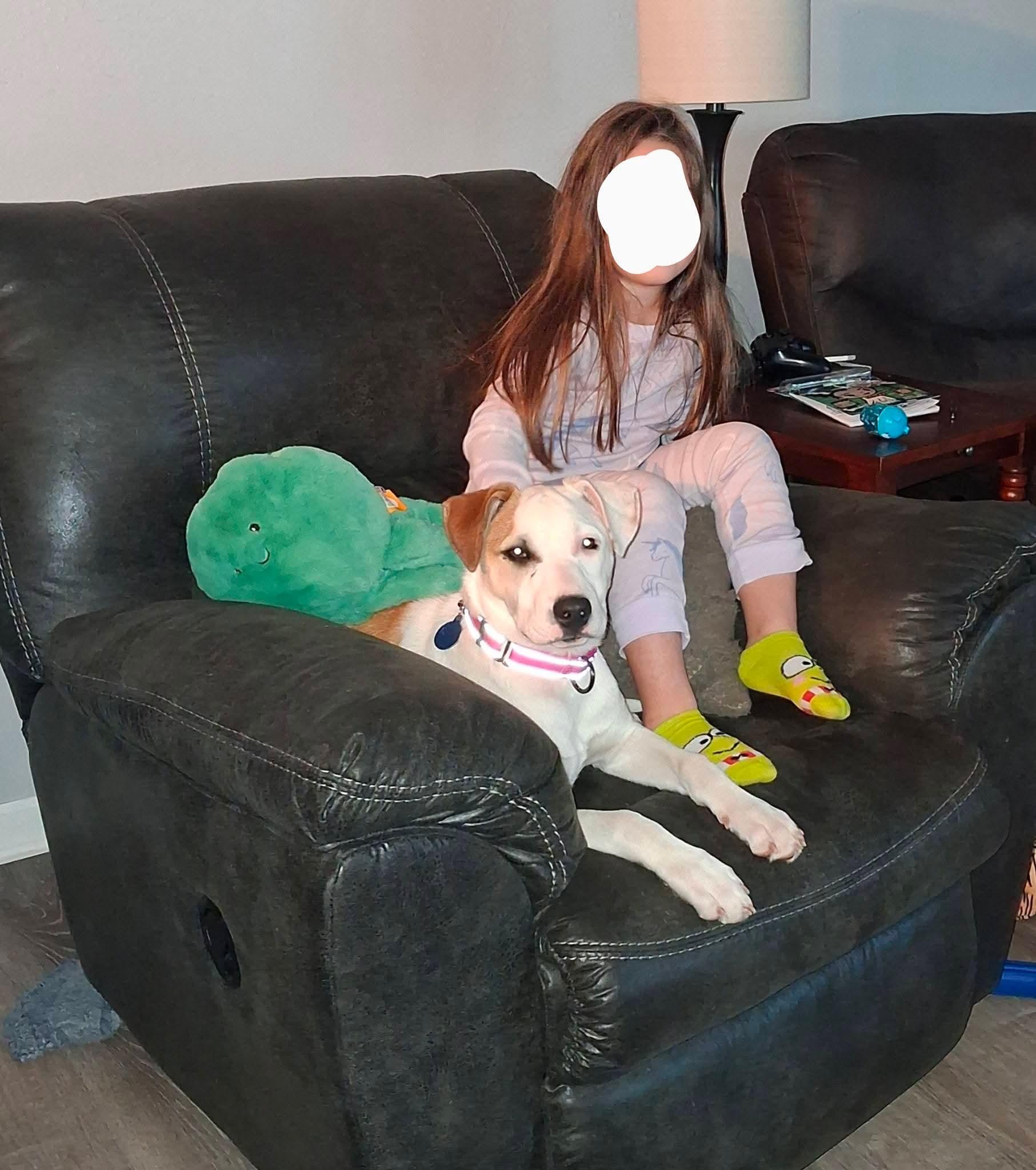 Enlarge FLORA    $425, a ADOPTABLE mixed breed in Milwaukee, WI image 5/5