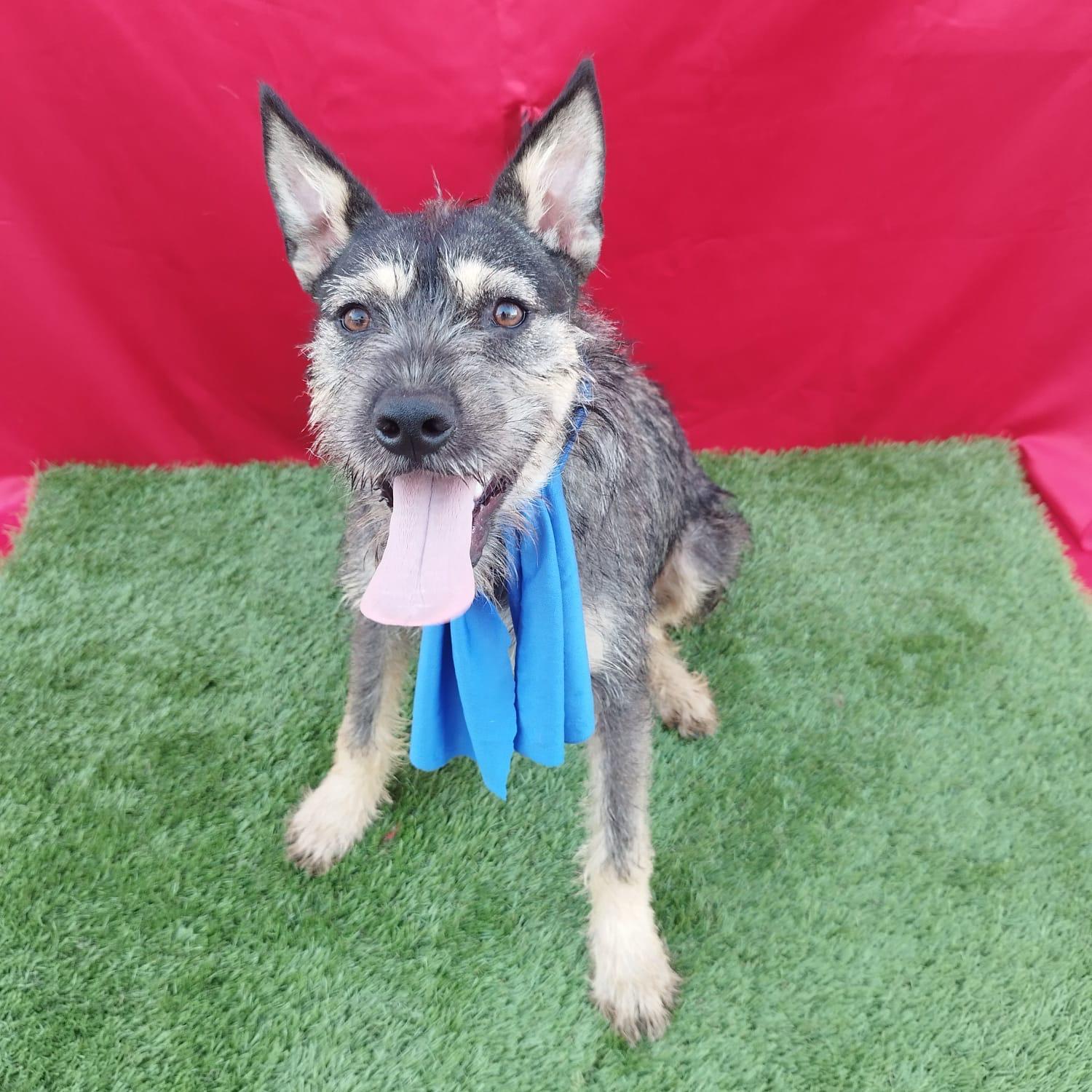 FINN — thumbnail 3