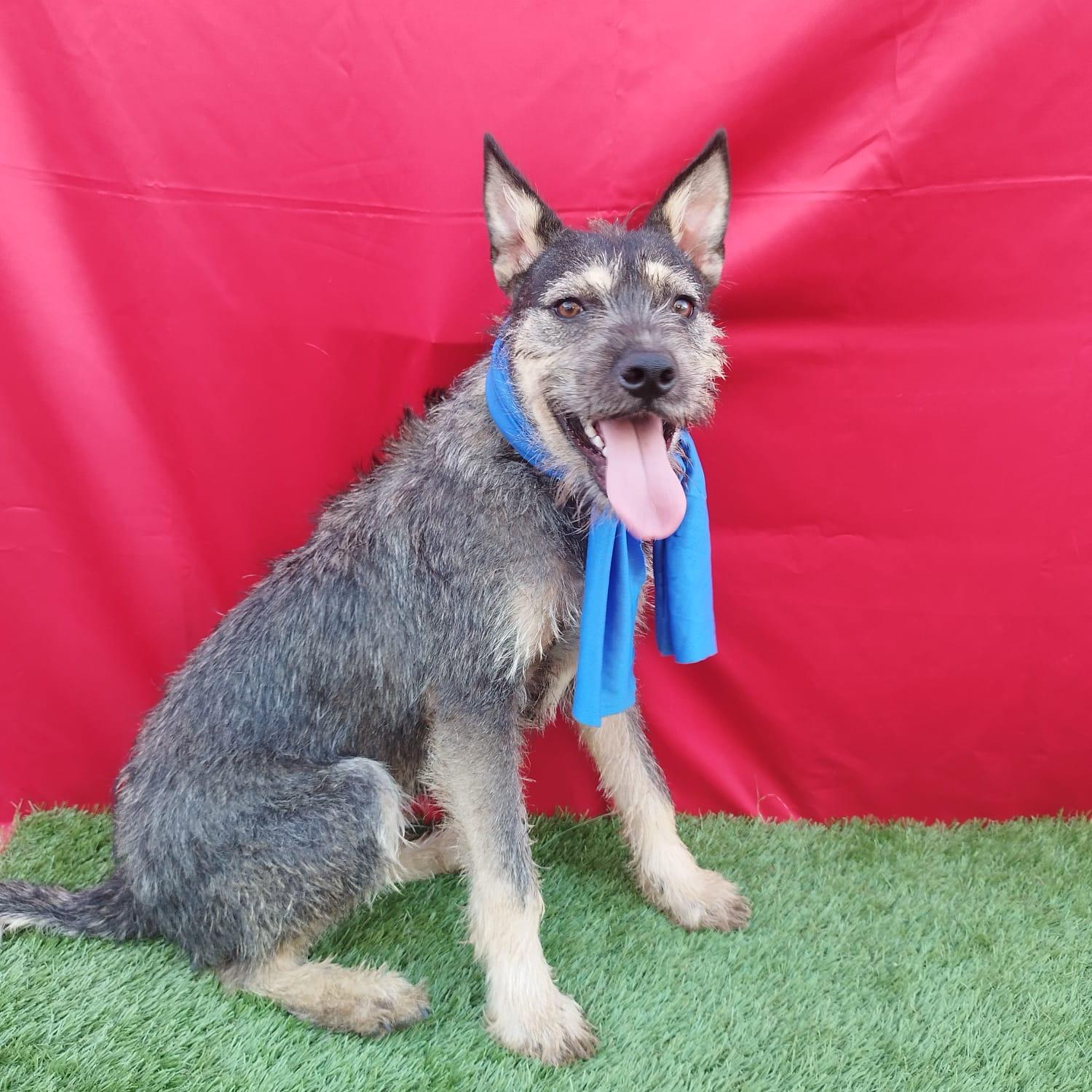 FINN — thumbnail 6