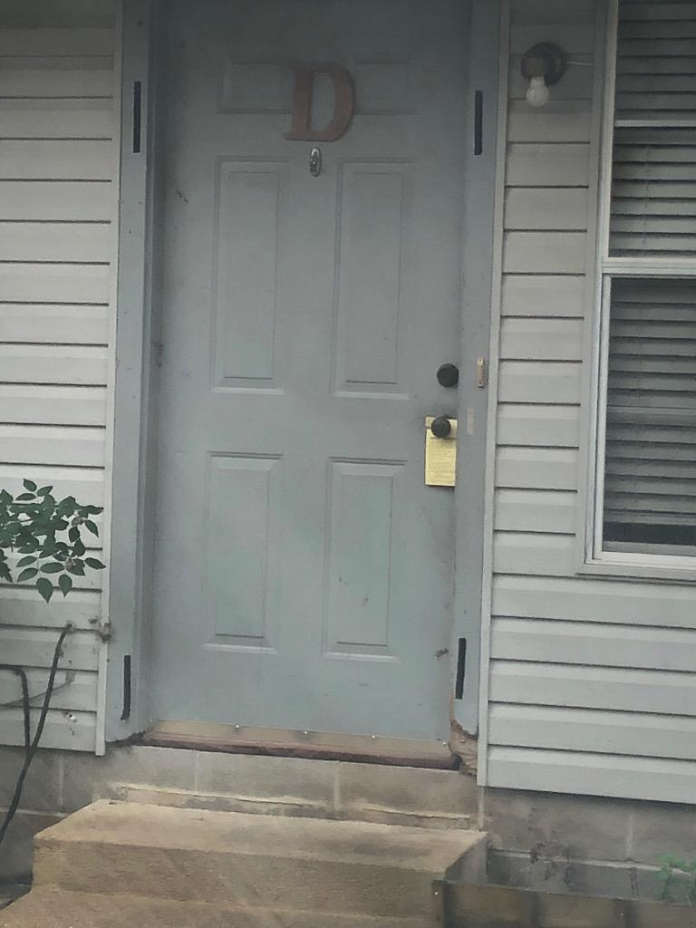 Enlarge Chase, a Adoptable German Shepherd Dog in Benton, AR image 2/2