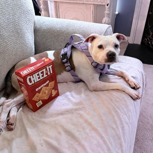 Maddy photo 5