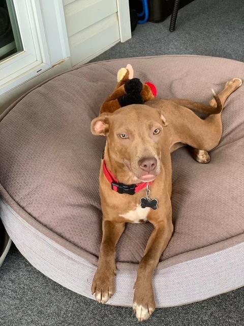 Lala