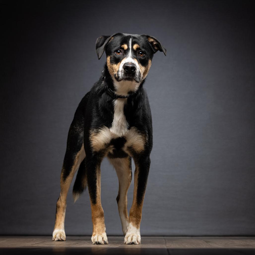 Yuri — thumbnail 2