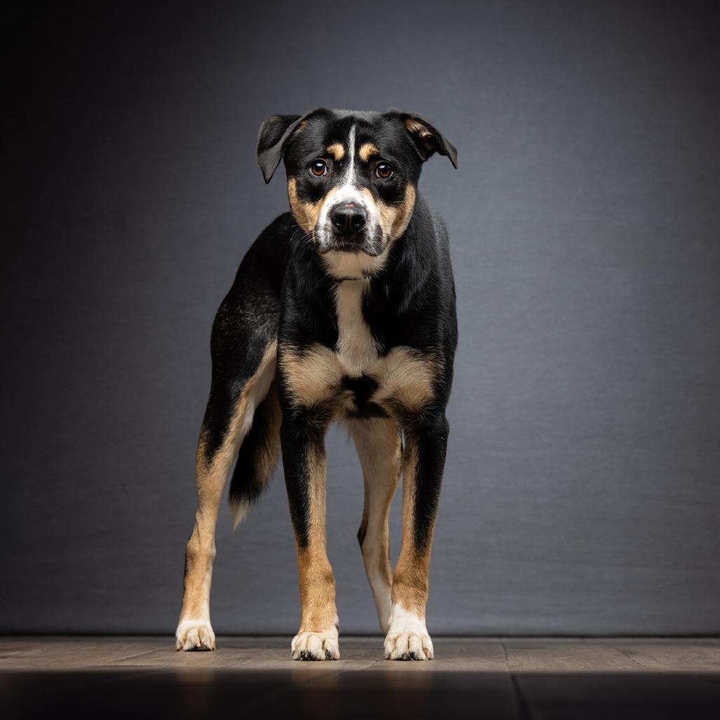 Yuri — thumbnail 3