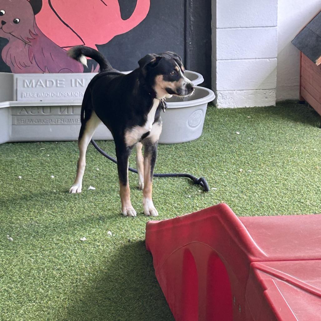 Yuri — thumbnail 4