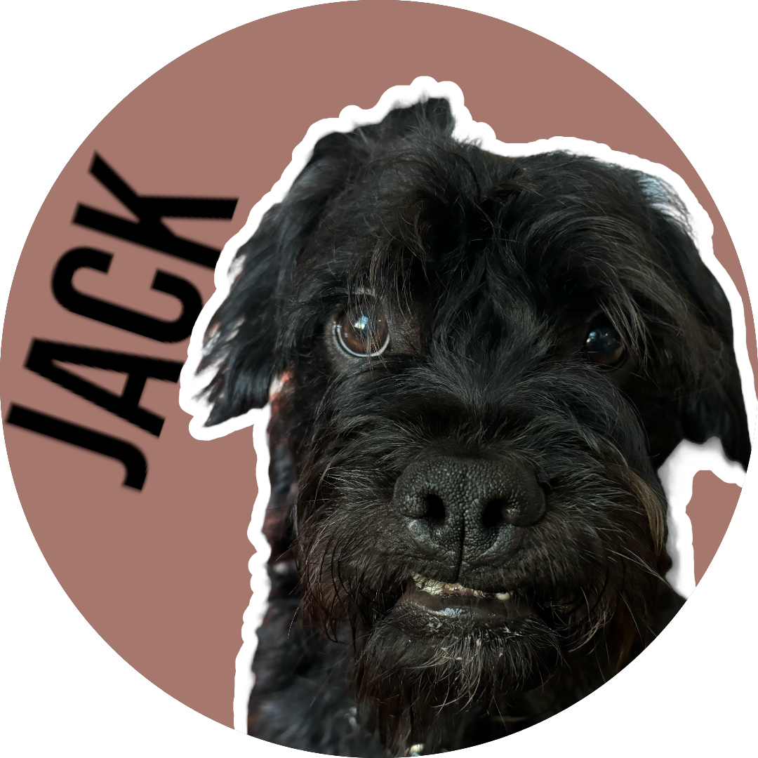 Jack
