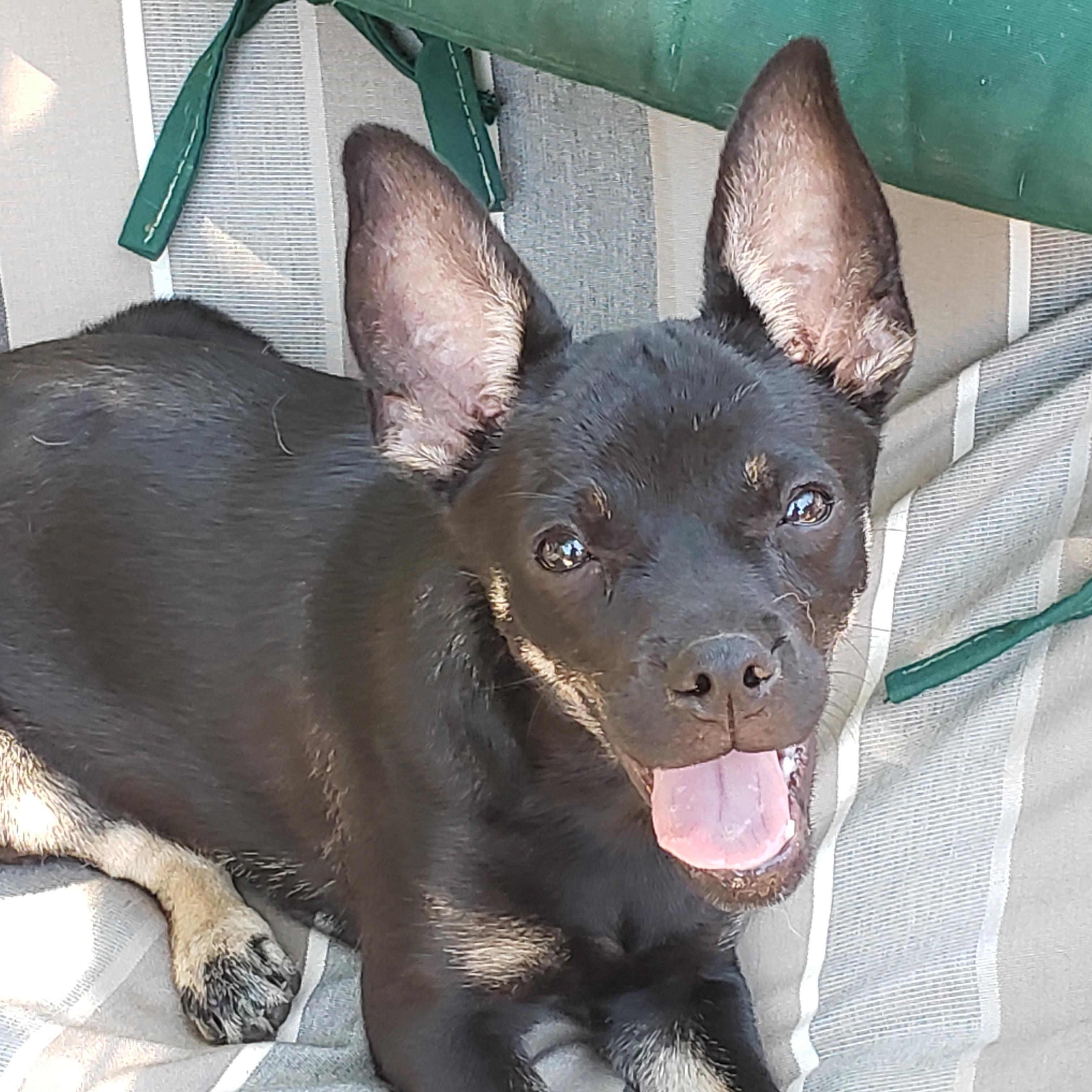 Buster 2