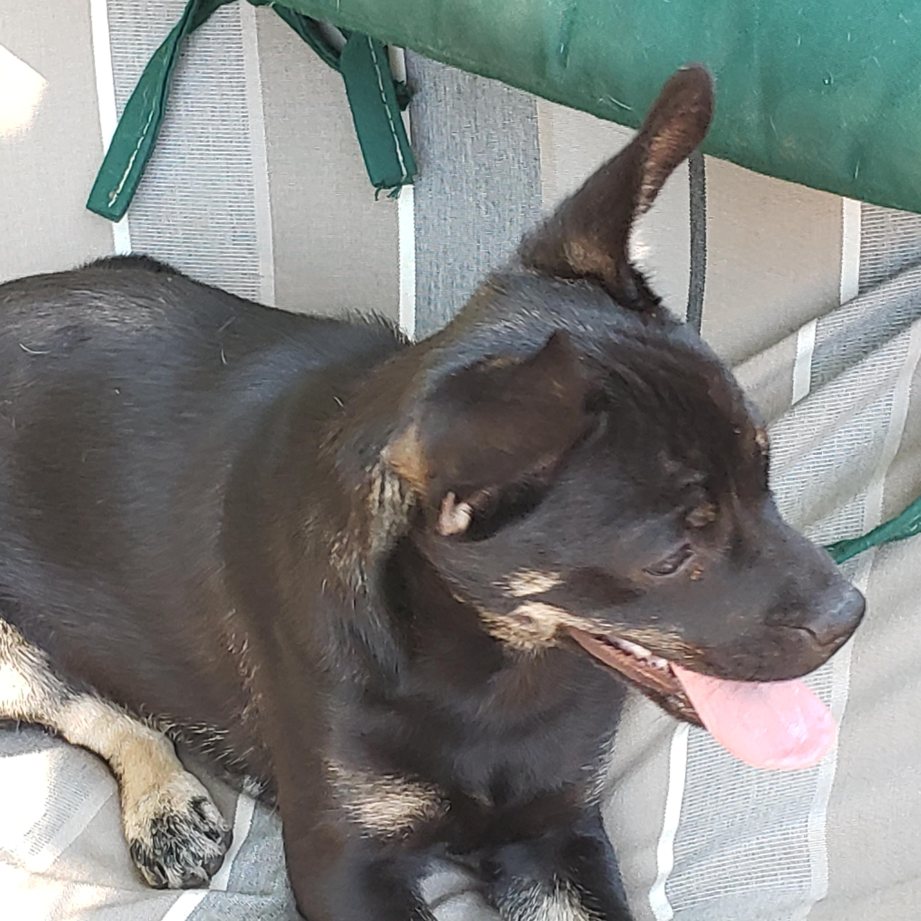 Buster