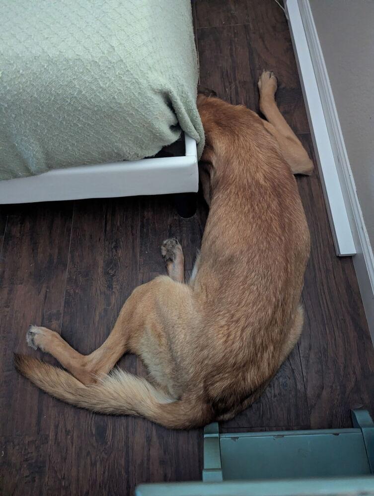 Merry Fka Pebbles  thumbnail 2